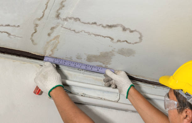 Reliable Burst Pipe Cleanup contractor in Bucyrus, KS by Local Water Damage Repair